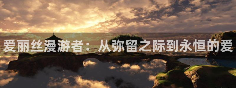 韩漫漫画在线看下拉式免费：爱丽丝漫游者：从弥留之际到永恒的爱