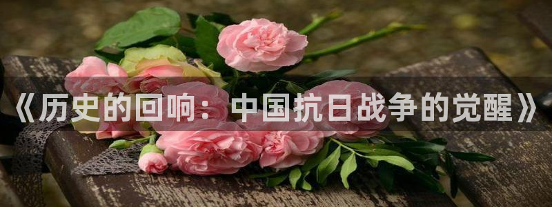 久久韩漫漫画：《历史的回响：中国抗日战争的觉醒》